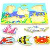 Cute Magnetic Fishing