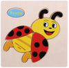 Brain Teaser Puzzles