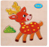 Brain Teaser Puzzles